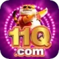 11q Live Casino Premium